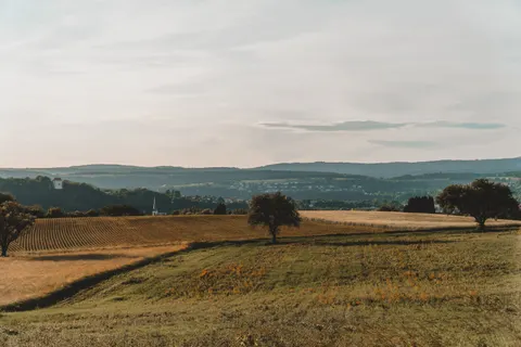 Vineyard Hills 4K Wallpaper · nature · 3840×2560