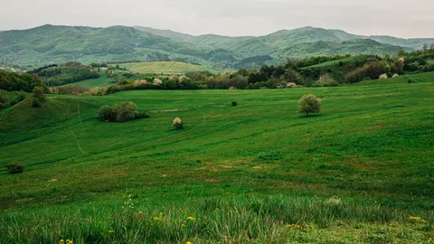 Vineyard Hills 4K Wallpaper · nature · 3840×2160