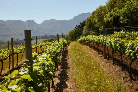 Vineyard Hills 4K Wallpaper · nature · 3840×2560