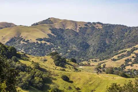 Vineyard Hills 4K Wallpaper · nature · 3840×2560
