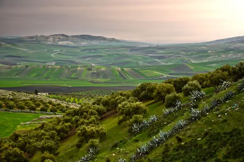 Vineyard Hills 4K Wallpaper · nature · 3840×2553