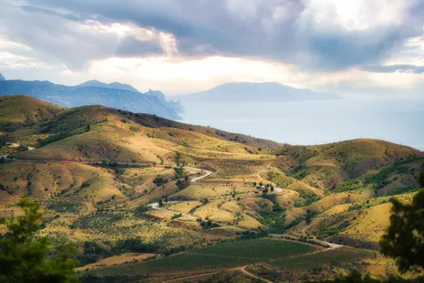 Vineyard Hills 4K Wallpaper · nature · 3840×2560