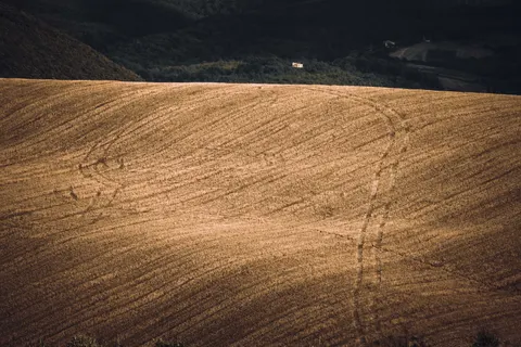 Vineyard Hills 4K Wallpaper · nature · 3840×2560