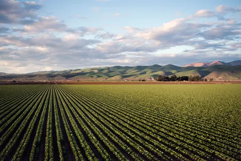 Vineyard Hills 4K Wallpaper · nature · 3840×2560