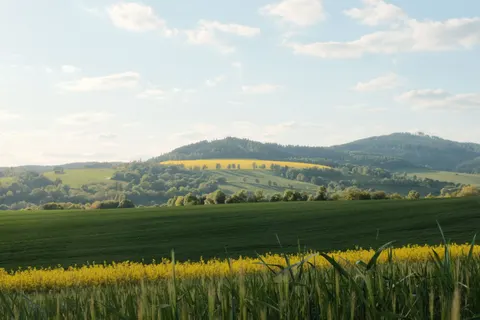 Vineyard Hills 4K Wallpaper · nature · 3840×2560