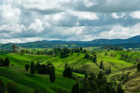 Vineyard Hills 4K Wallpaper · nature · 3840×2563