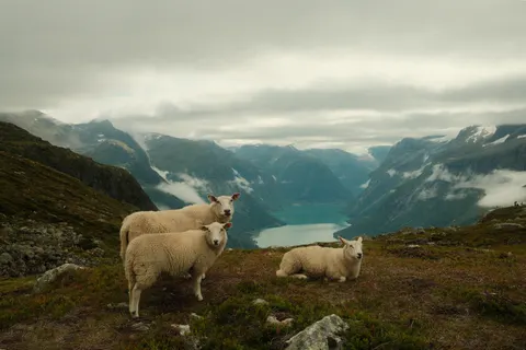 Norwegian Fjord 4K Wallpaper · nature · 3840×2560