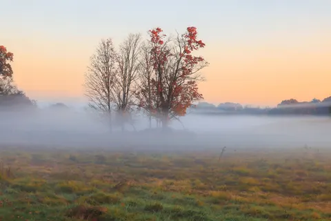 Misty Valley 4K Wallpaper · nature · 3840×2561