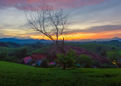 Misty Valley 4K Wallpaper · nature · 3840×2731