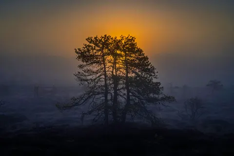 Misty Valley 4K Wallpaper · nature · 3840×2560