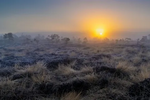 Misty Valley 4K Wallpaper · nature · 3840×2560