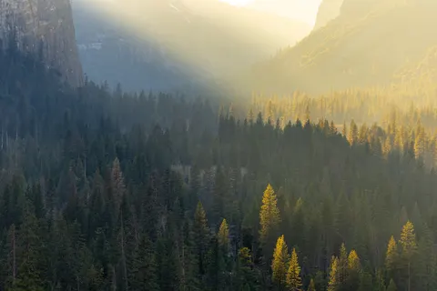 Misty Valley 4K Wallpaper · nature · 3840×2560
