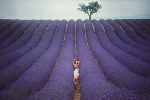 Lavender Field 4K Wallpaper · flowers · 3840×2560
