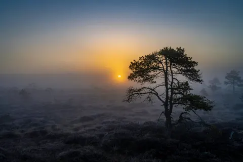 Misty Valley 4K Wallpaper · nature · 3840×2560