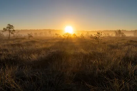 Misty Valley 4K Wallpaper · nature · 3840×2560