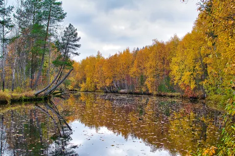 Autumn River 4K Wallpaper · nature · 3840×2560