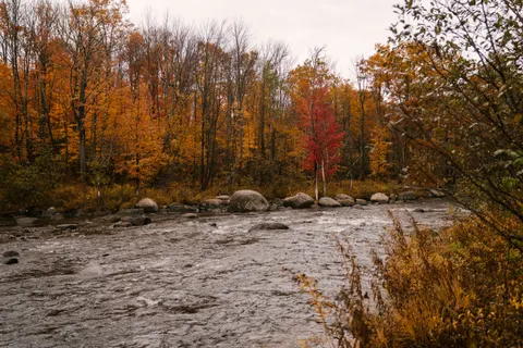 Autumn River 4K Wallpaper · nature · 3840×2560