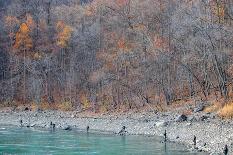 Autumn River 4K Wallpaper · nature · 3840×2561