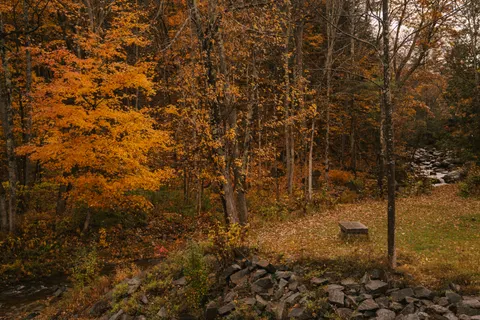 Autumn River 4K Wallpaper · nature · 3840×2560