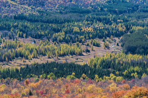 Autumn River 4K Wallpaper · nature · 3840×2560