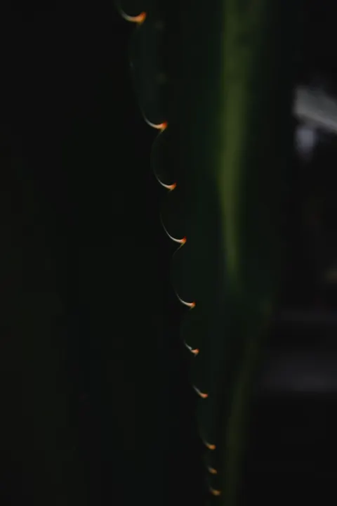 Laser Beams Phone Wallpaper · cyber · 1440×2160