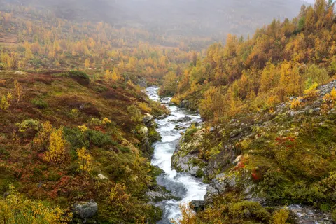 Autumn River 4K Wallpaper · nature · 3840×2560