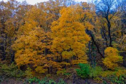 Autumn River 4K Wallpaper · nature · 3840×2560