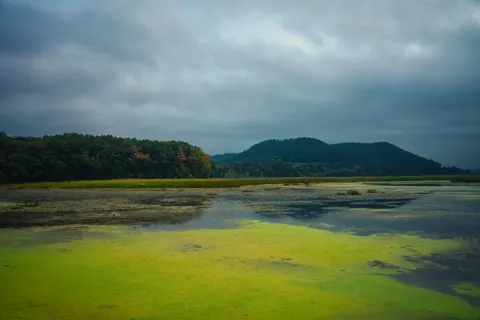 Autumn River 4K Wallpaper · nature · 3840×2560