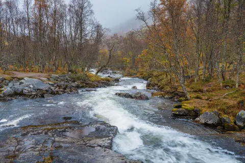 Autumn River 4K Wallpaper · nature · 3840×2560