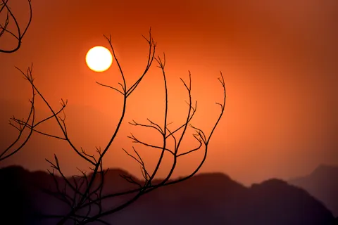 Savanna Sunset 4K Wallpaper · nature · 3840×2560