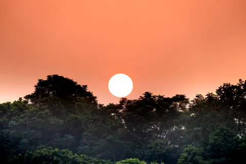 Savanna Sunset 4K Wallpaper · nature · 3840×2561