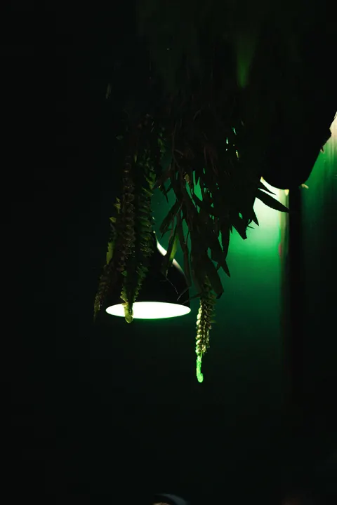 LED Room Phone Wallpaper · cyber · 1440×2160