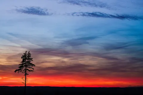 Savanna Sunset 4K Wallpaper · nature · 3840×2561