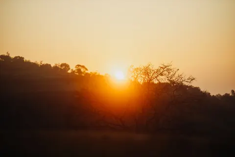 Savanna Sunset 4K Wallpaper · nature · 3840×2560