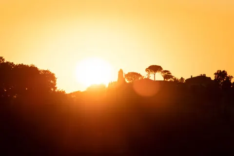 Savanna Sunset 4K Wallpaper · nature · 3840×2560