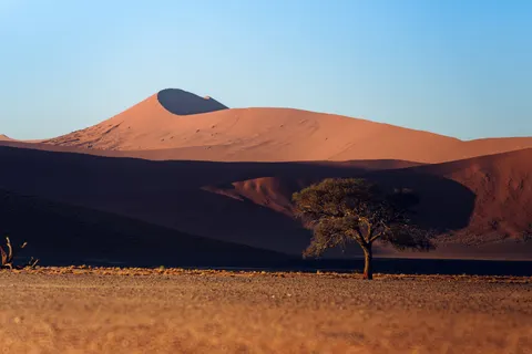 Savanna Sunset 4K Wallpaper · nature · 3840×2561