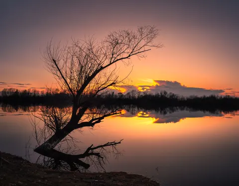 Savanna Sunset 4K Wallpaper · nature · 3840×2995