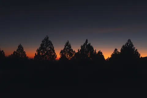 Savanna Sunset 4K Wallpaper · nature · 3840×2560