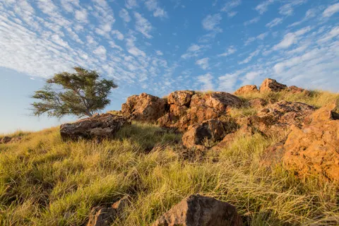 Savanna Sunset 4K Wallpaper · nature · 3840×2563