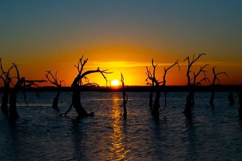 Savanna Sunset 4K Wallpaper · nature · 3840×2560