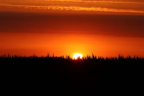 Savanna Sunset 4K Wallpaper · nature · 3840×2560