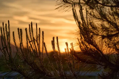 Savanna Sunset 4K Wallpaper · nature · 3840×2560