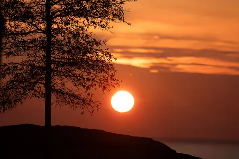 Savanna Sunset 4K Wallpaper · nature · 3840×2560