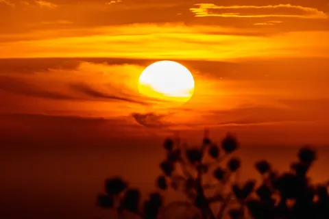 Savanna Sunset 4K Wallpaper · nature · 3840×2560