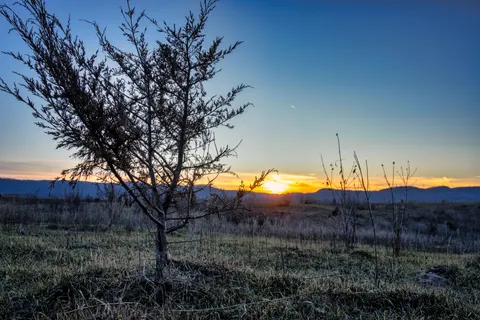 Savanna Sunset 4K Wallpaper · nature · 3840×2560