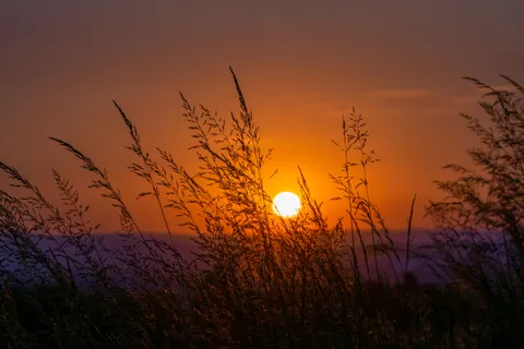 Savanna Sunset 4K Wallpaper · nature · 3840×2560