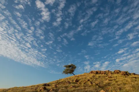 Savanna Sunset 4K Wallpaper · nature · 3840×2563