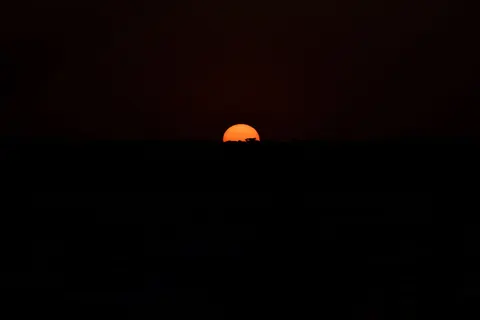 Savanna Sunset 4K Wallpaper · nature · 3840×2563