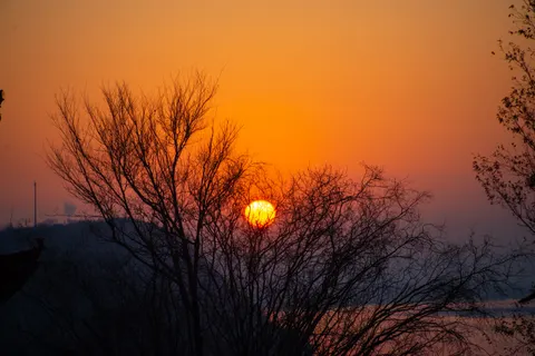 Savanna Sunset 4K Wallpaper · nature · 3840×2563