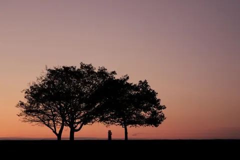 Savanna Sunset 4K Wallpaper · nature · 3840×2561